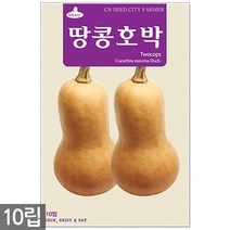 청농종묘 청옥 맷돌호박 씨앗 20립 호박씨앗 호박씨 늙은호박 멧돌호박, 13_땅콩호박(10립)