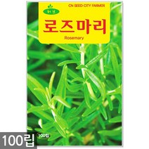 루 씨앗 150립 / 허브씨앗 루씨앗 허브씨 허브 루씨 화초씨앗, 04_허브_로즈마리(100립)