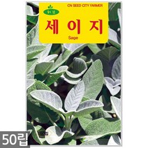 세이지 씨앗 50립 / 허브씨앗 세이지씨앗 허브씨 허브 세이지씨 샐비어 씨, 08_허브_세이지(50립)