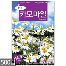 스피아민트 씨앗 2000립 / 허브씨앗 스피아민트씨앗 허브씨 허브 스피아민트씨 씨, 13_허브_카모마일(500립)