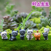 미스토토 테라리움 재료 고양이 앵그리캣 6종 세트