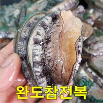 남도전복 완도전복, 총19~20마리, 1kg, 1개