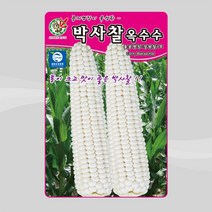 제일종묘 옥수수 씨앗 박사찰옥수수 150립