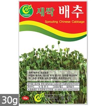 귀리 새싹 씨앗 50g / 새싹씨앗 귀리씨앗 귀리새싹씨앗 새싹귀리 귀리씨 캣그라스 캣글라스 고양이풀, 11_새싹씨앗_배추(30g)