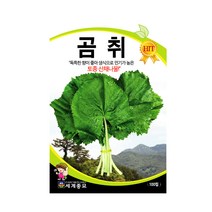 모칸도 세계곰취 100립