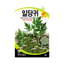 모칸도 세계일당귀1g