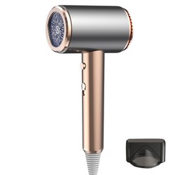 SAMSEA 파워풍량 전문가용 이온 헤어 드라이어 1700W, 단일상품, 골드