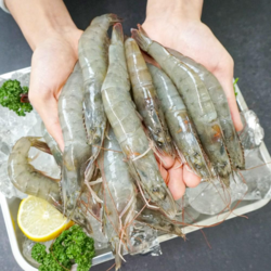 [파시] 국내산 탱글탱글한 신선급냉 흰다리새우 냉동새우 1kg (31~35미), 1개, 1kg