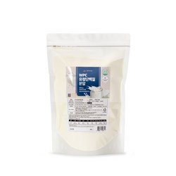 WPC 유청단백질 분말 500g, 2개, 500g