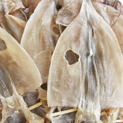 건어물천국 마른오징어 파품 500g 동해안 건조 파품오징어