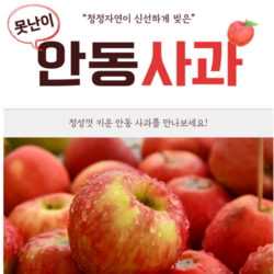 [초특가] 햇사과 아오리 홍로 여름사과 경북사과 초고당도, 1개, 10kg  햇사과 아오리 중과(30~45과)