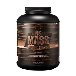 NS 매스빌드업 프로틴 4kg 리치초콜릿맛, 헬스보충제 단백질보충제, 1개, 4kg