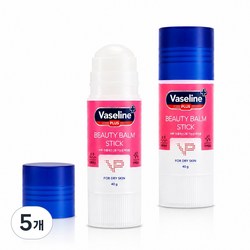 브이피 바세린 플러스 뷰티밤 스틱 주름 미백, 5개, 40g