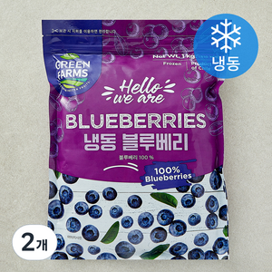 [로켓프레시] 그린팜 칠레산 블루베리 (냉동)