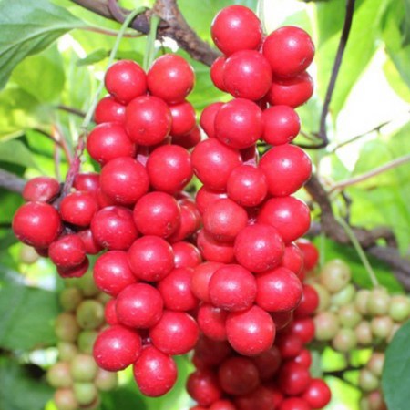 91fe174578ea205b593653ad6db9b428a36d1e473e9f007f43ad6e6c1686.jpg