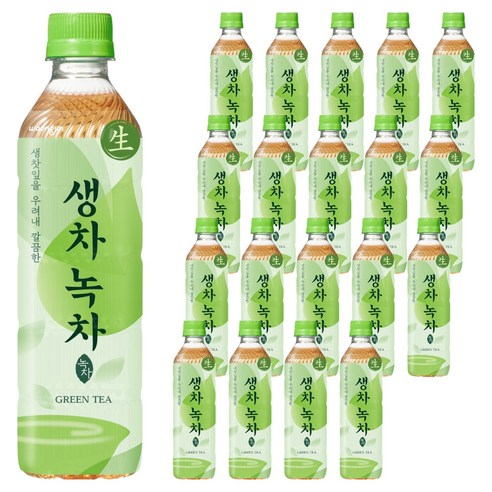 웅진 생차 녹차