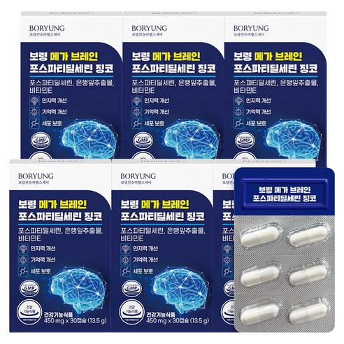 보령 메가 브레인 포스파티딜세린 징코 13.5g, 30정, 6개