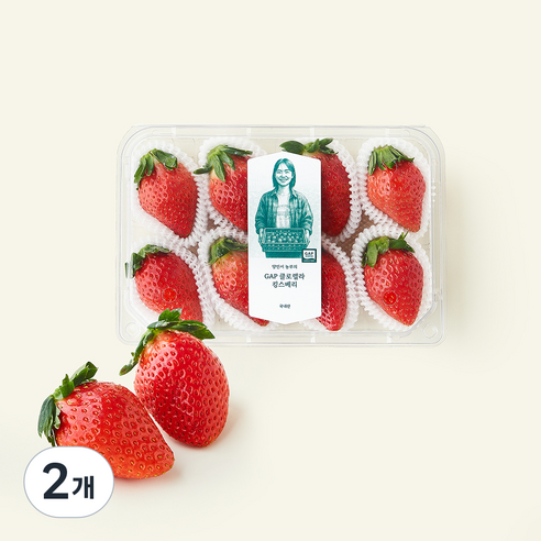 [로켓프레시] GAP 인증 양인서 농부의 논산 클로렐라 킹스베리