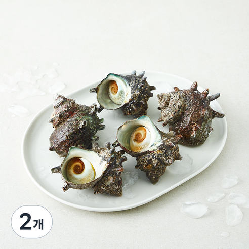 [로켓프레시] 완도맘영어조합법인 자연산 뿔소라 5~10마리 (냉장)