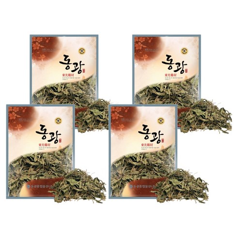 동광한방몰 포공영 민들레잎, 600g, 4개