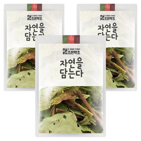 조은약초 삼백초 잎, 100g, 3개