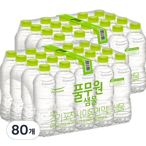 대가족 브랜드 신뢰 생수 추천 풀무원샘물 무라벨 생수, 500ml, 80개