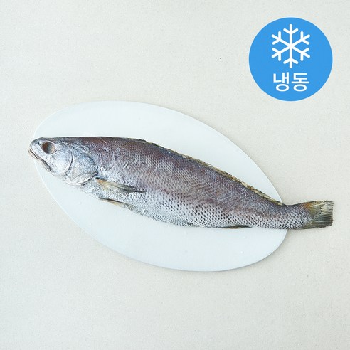 [로켓프레시] the 푸짐한 국내산 프리미엄 손질 통민어 (냉동)