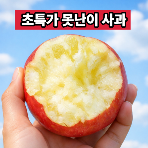 [한정수량] 못난이 주스용사과 부사사과 초특가