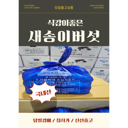 당일경매 국내산 새송이버섯 신선한 버섯 경매후바로발송 구이용 볶음용 가정용, 1개, 콩알2번