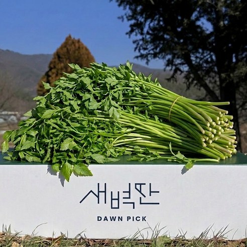 [변규성 농부의] 명품 청도 한재 생 미나리
