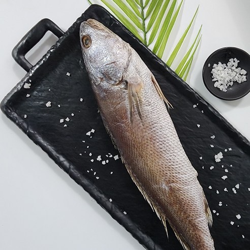 반건조 손질 생선 민어 국산참민어 반건조참민어 여수참민어 제수용민어 통민어, 1개, 국산참민어 40cm