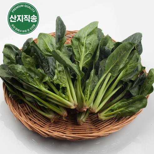 [당일수확] 국내산 남해 해풍 시금치 (뿌리까지 달콤한 명품 시금치) 산지직송, 1개, 3kg