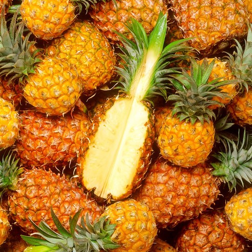 Dole 스위티오 파인애플 1수 1.3kg [SHN], 1개, 1수