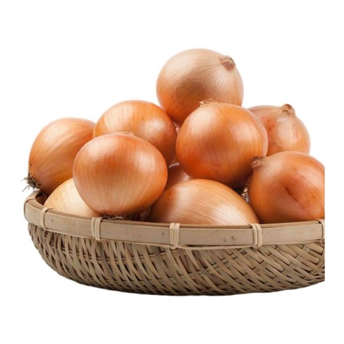 달쿵 국내산 무안 양파 햇양파 1kg ~ 10kg  소용량 대용량
