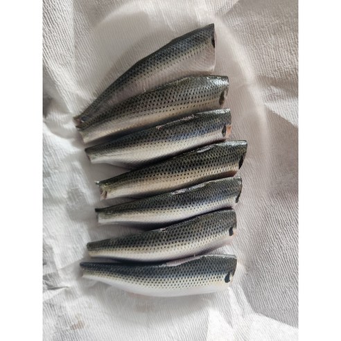 완도 전어 세꼬시 남해안 제철횟감 회무침 300g 500g 자연산 손질 급냉