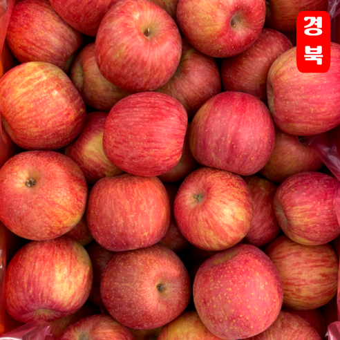 [타임특가] 오씨농장 고당도 국내산 부사 사과, 1개, 5kg