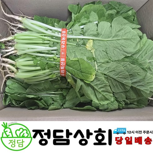 [ 정담상회 ] 국내산 열무 얼갈이열무 2kg(2단), 4kg(4단), 6kg(6단) 내외