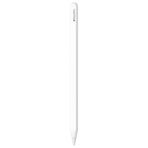Apple 애플펜슬 프로