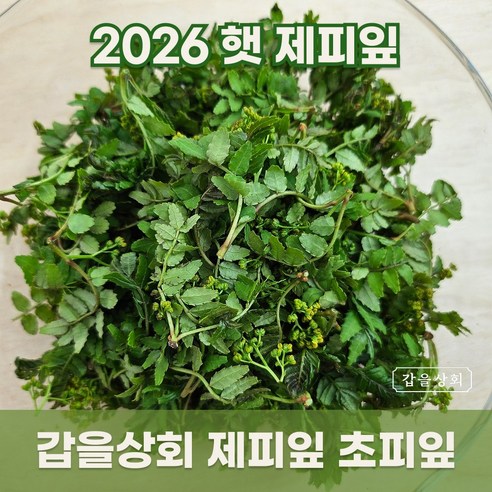 [갑을상회] 국내산 제피 생제피잎 토종 초피 초피잎
