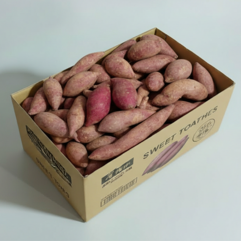 레드이츠 해남 호박 고구마 베니하루카, 1박스, 한입 5kg (20~50g)