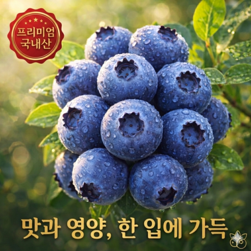 [산지직송] 고당도 생 블루베리 국산 당일수확, 1박스, 상(14mm 이상) 100g
