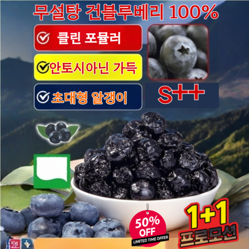 [100% 원자재]건 블루베리 유기농 건조 블루베리 100%  건조 블루베리 1kg 초대형 과일/ 방부제 무첨가