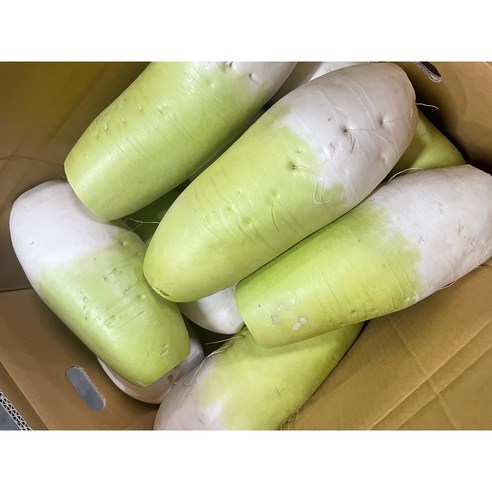 (당일경매) (당일출고) 아삭하고,달큰한 국내산 무 5kg 10kg 20kg 1박스 (최상급) (제주산), 1개, 10kg