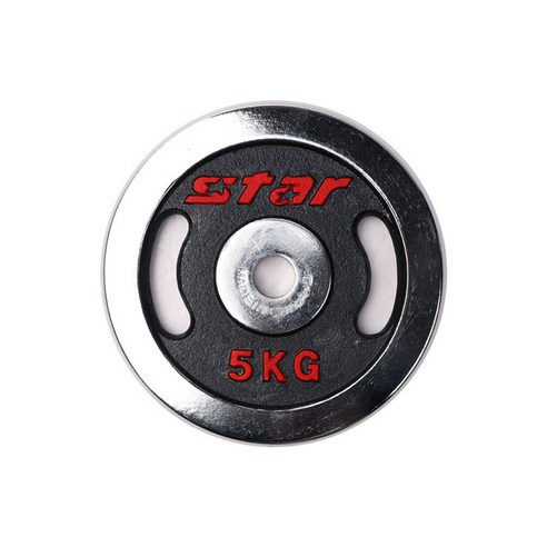 스타스포츠 도금원판 ER501-100 10KG /아령, 10kg, 1개