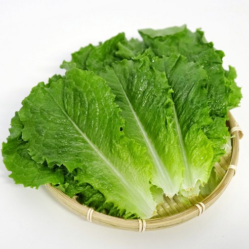 국내산 울팜 청상추 로메인 쌈채소, 1개, 4kg