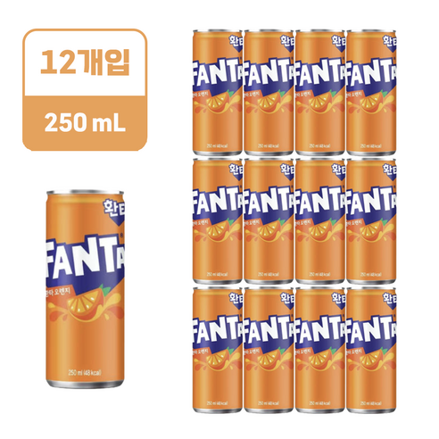 환타 오렌지 250ml, 250ml, 12개