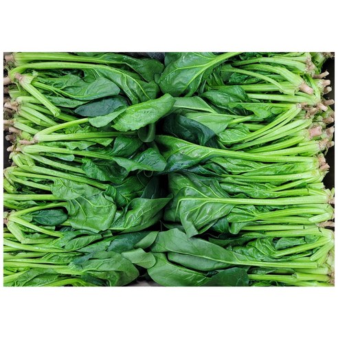 야채왕 싱싱한 시금치 200g,500g,1kg, 500g, 1개