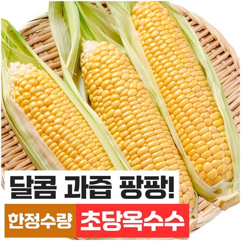 푸드지 당일수확 아삭달콤 초당옥수수