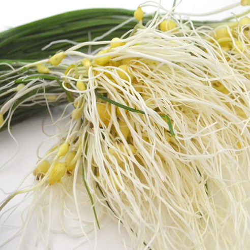 입맞돋는  세척 달래 2묶음 (160g~180g)