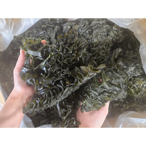 완도 햇 미역귀 국산 저염 반찬용 간식용 미역귀다리 300g 지아수산